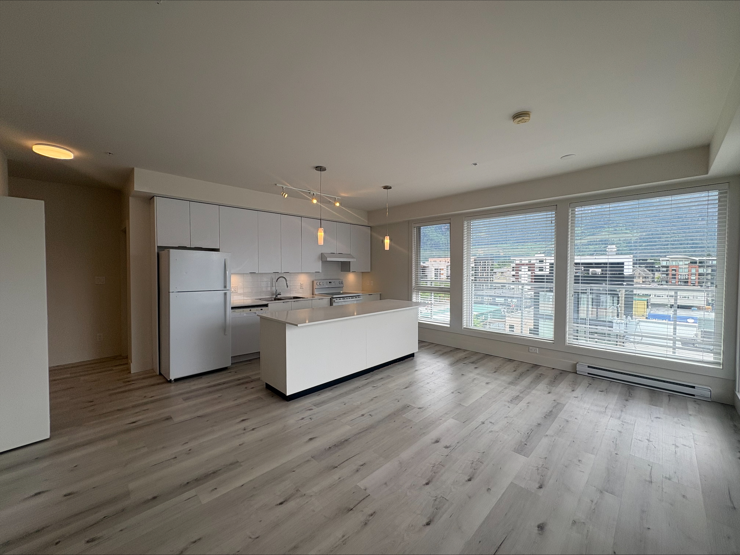 38030 Loggers Lane - 411